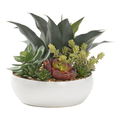 Assorted Succulents in Low Bowl - 229006