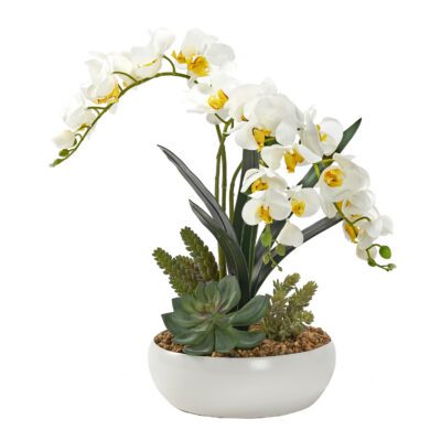 Natural Touch Orchids with Succulents in Small White Low Bowl - 229007