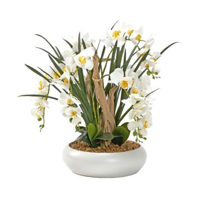 Natural Touch Orchids with Ghostwood in Large White Low Bowl - 229008