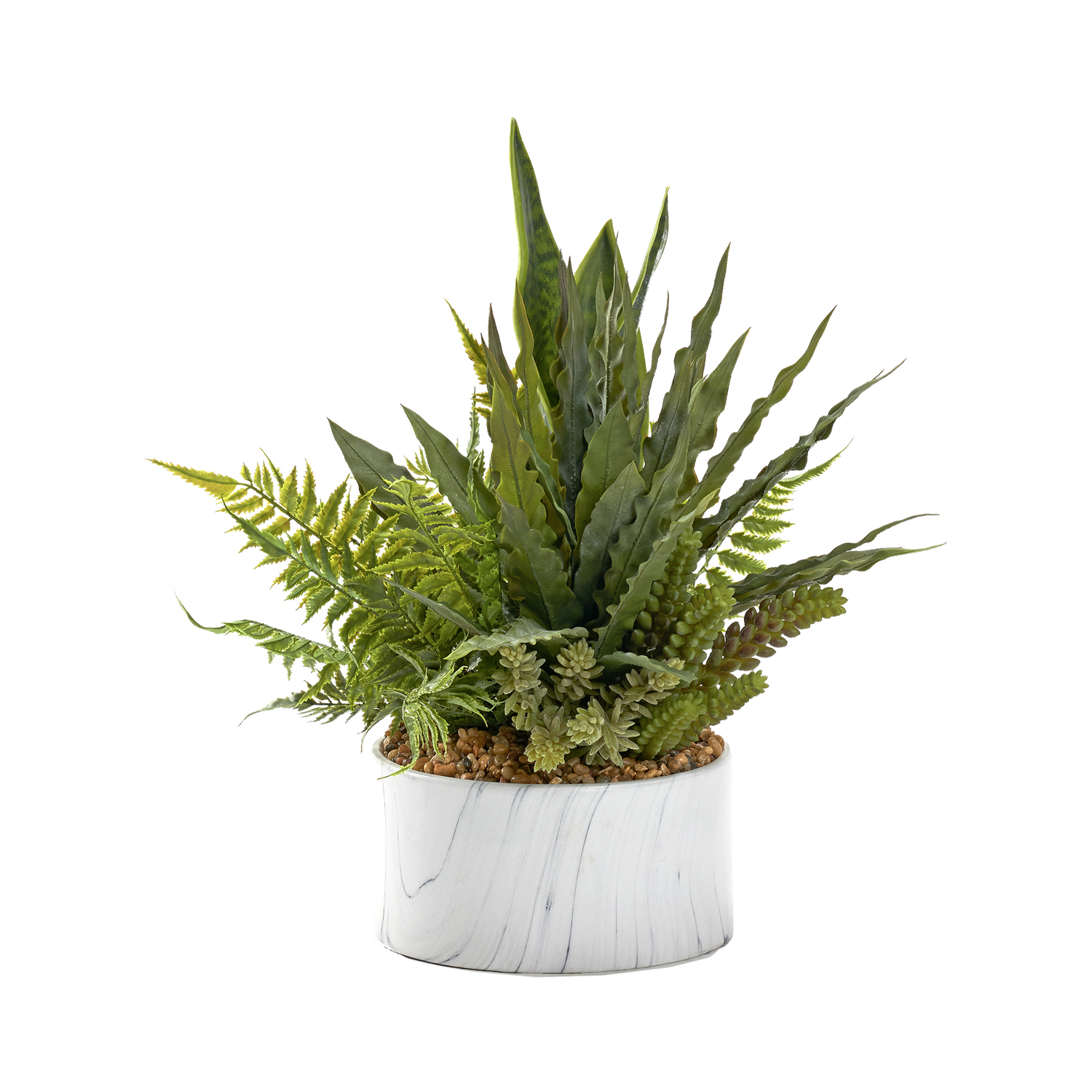 Assorted Succulents in Cora Bowl - 229010