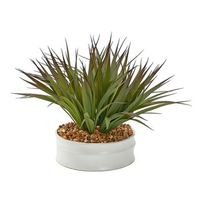Green/Brown Grass in Medium Dollop Planter - 229018