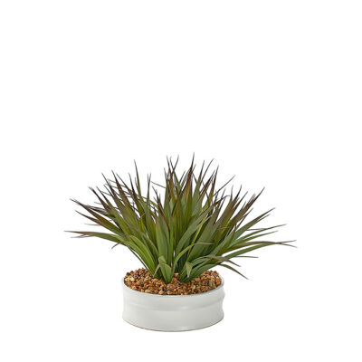 Green/Brown Grass in Medium Dollop Planter - 229018