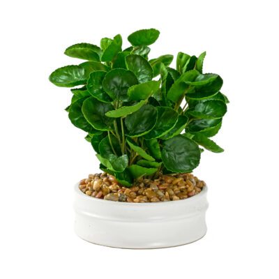 Eucalyptus Bundle in Small Matte White Bowl - 229021