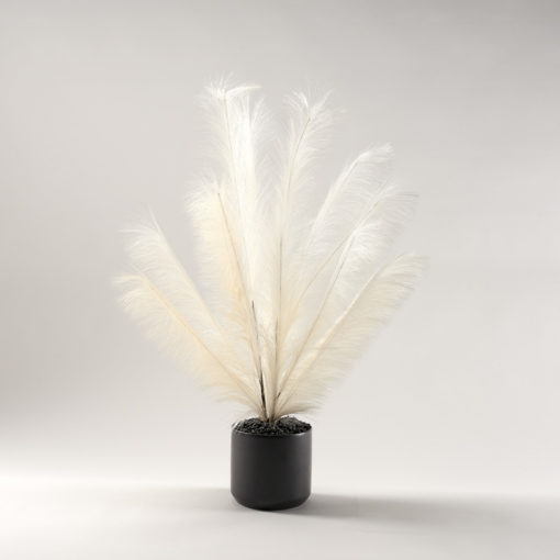 Two Tone Cream Plume Spray in Medium Matte Kendall Pot - 229032