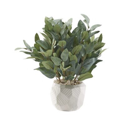 Eucalyptus in Large White Flintstone Planter - 229037