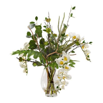 Orchids with Assorted Greenery in Socle Vase - 229039
