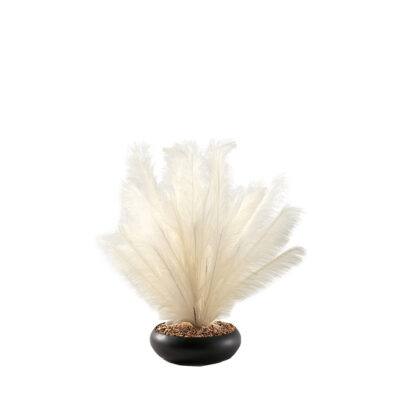 Plume Spray in Matte Black Bowl - 229046