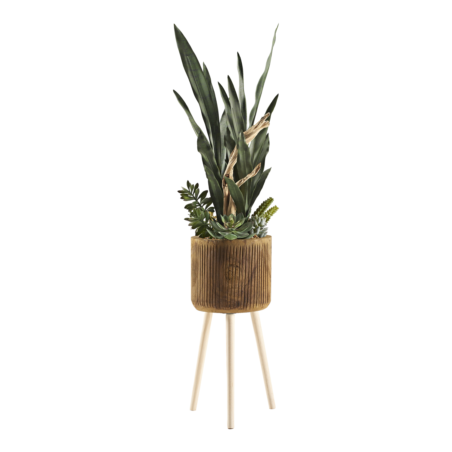 Sansevieria, Succulents & Ghostwood in Asher Planter - 229048