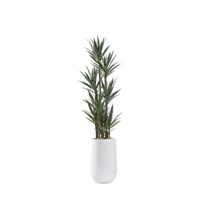 Dracaena Tree in Quinn Planter 8.5' - 322908