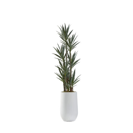 Dracaena Tree in Quinn Planter 8.5' - 322908