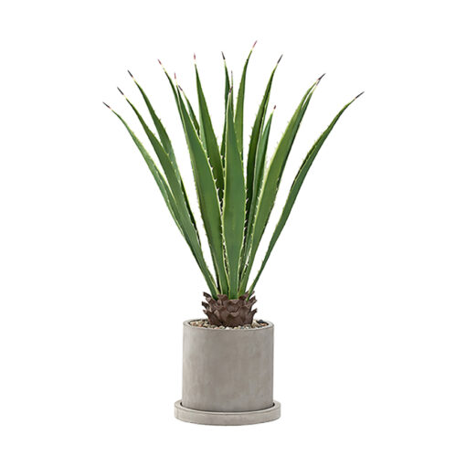 Agave Plant in Marta Planter 4' - 322911 - Image 2