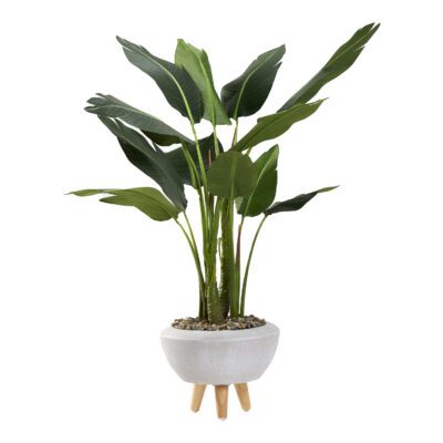 Bird of Paradise Palm in Triad Planter 4.3' - 322912