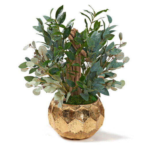 Ghostwood, Bay Leaf, & Eucalyptus in Medium Felix Planter - 229054
