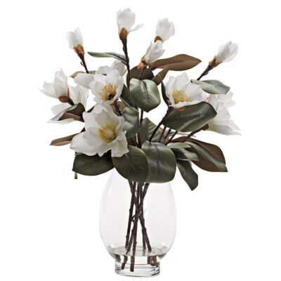 White Magnolias in Socle Vase - 231002