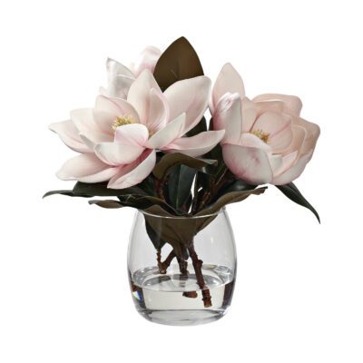 Magnolia Stems in Tumbler Vase - 231003