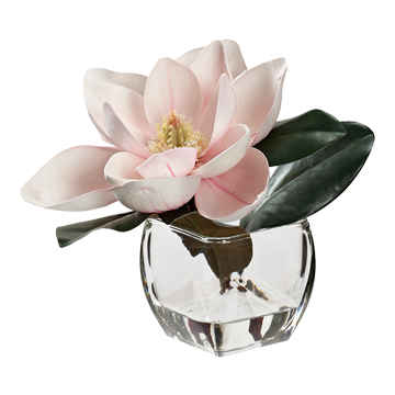 Pink Eva Magnolia Stem in Bevel Vase - 231008