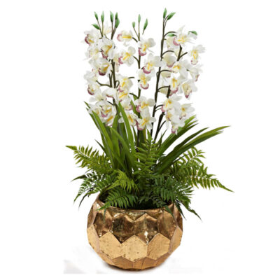 Cream Cymbidium Orchids & Leather Fern in Small Felix Planter - 231015