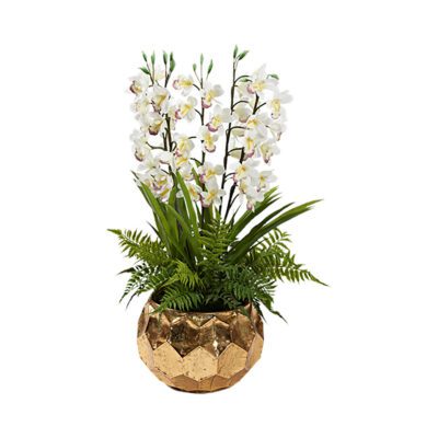 Cymbidium Orchids and Leather Fern in Small Felix Planter - 231015