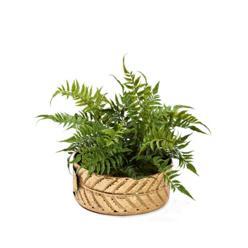 Leather Fern in Small Salve Planter 231016D&W Silks