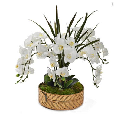 White Orchids & Areca Grass in Medium Salve Planter - 231020