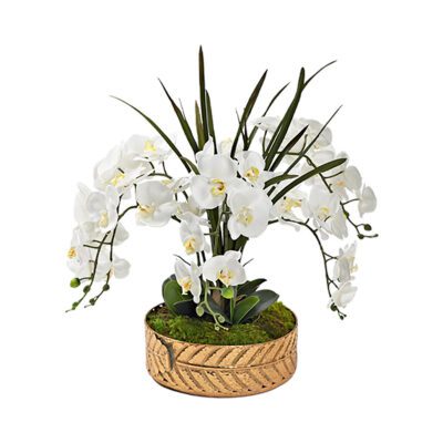 White Orchids & Areca Grass in Medium Salve Planter - 231020