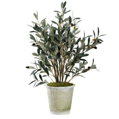 Olive Spray in White Stone Planter - 231021
