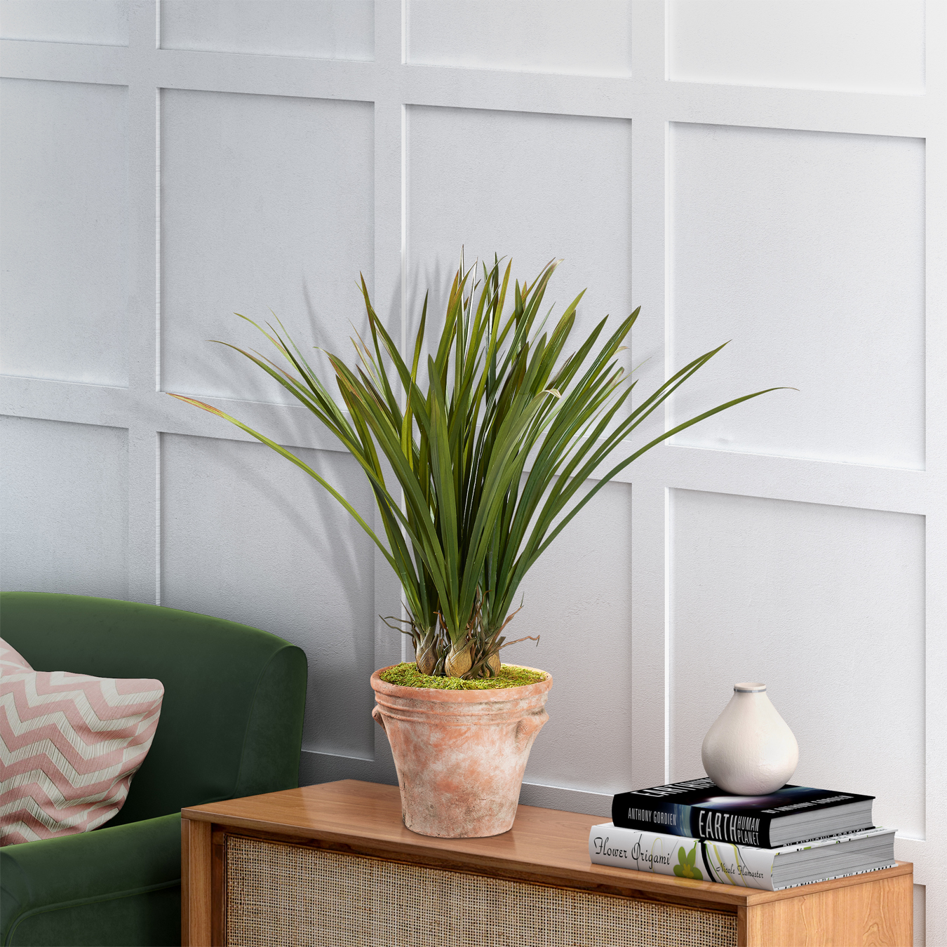 Areca Grass in Dwell Planter - 231024 - Image 2