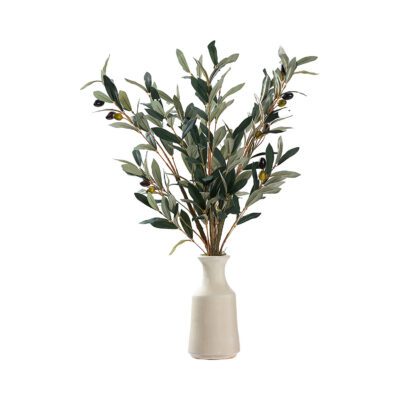 Olive Spray in Lait Vase - 231026