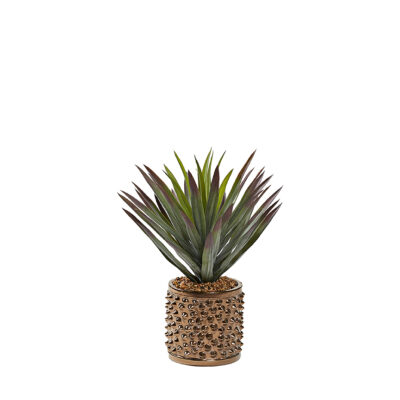 Agave Plant in Pierce Planter - 231029