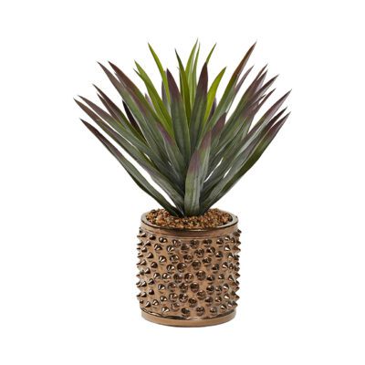 Agave Plant in Pierce Planter - 231029