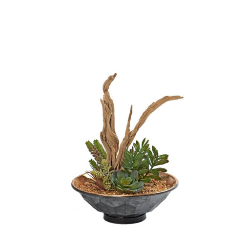 Ghostwood and Assorted  in XS Vida Planter - 231030