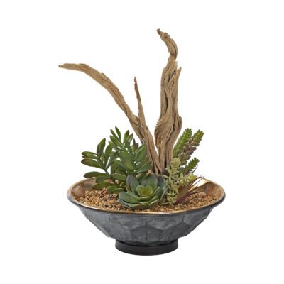 Ghostwood and Assorted Succulents in Vida Planter - 231030
