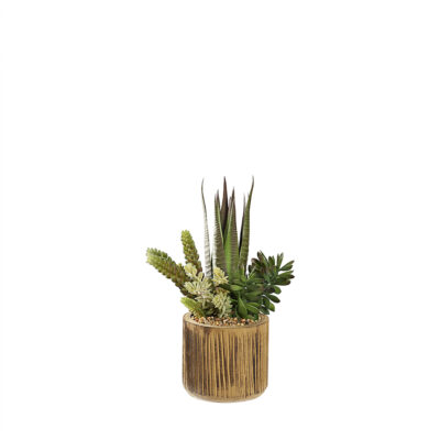 Agave & Assorted Succulents in Asher Planter - 231034