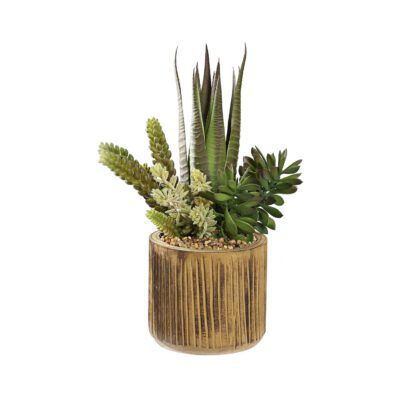 Agave & Assorted Succulents in Asher Planter - 231034