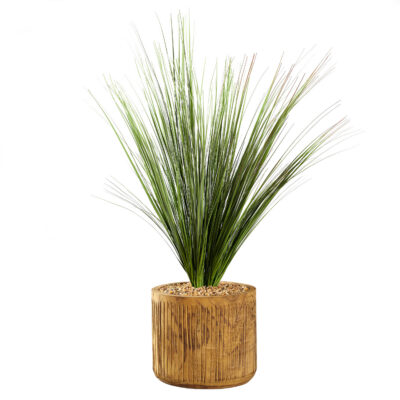 Onion Grass in Asher Planter - 231037