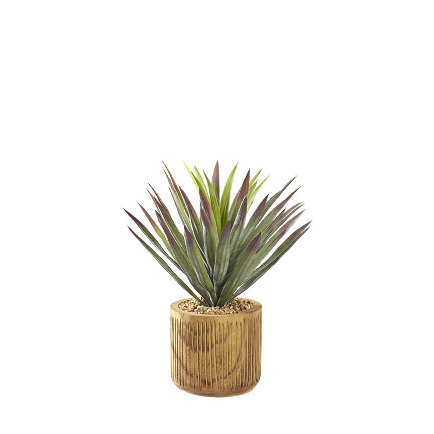 Agave Plant in Asher Planter - 231038