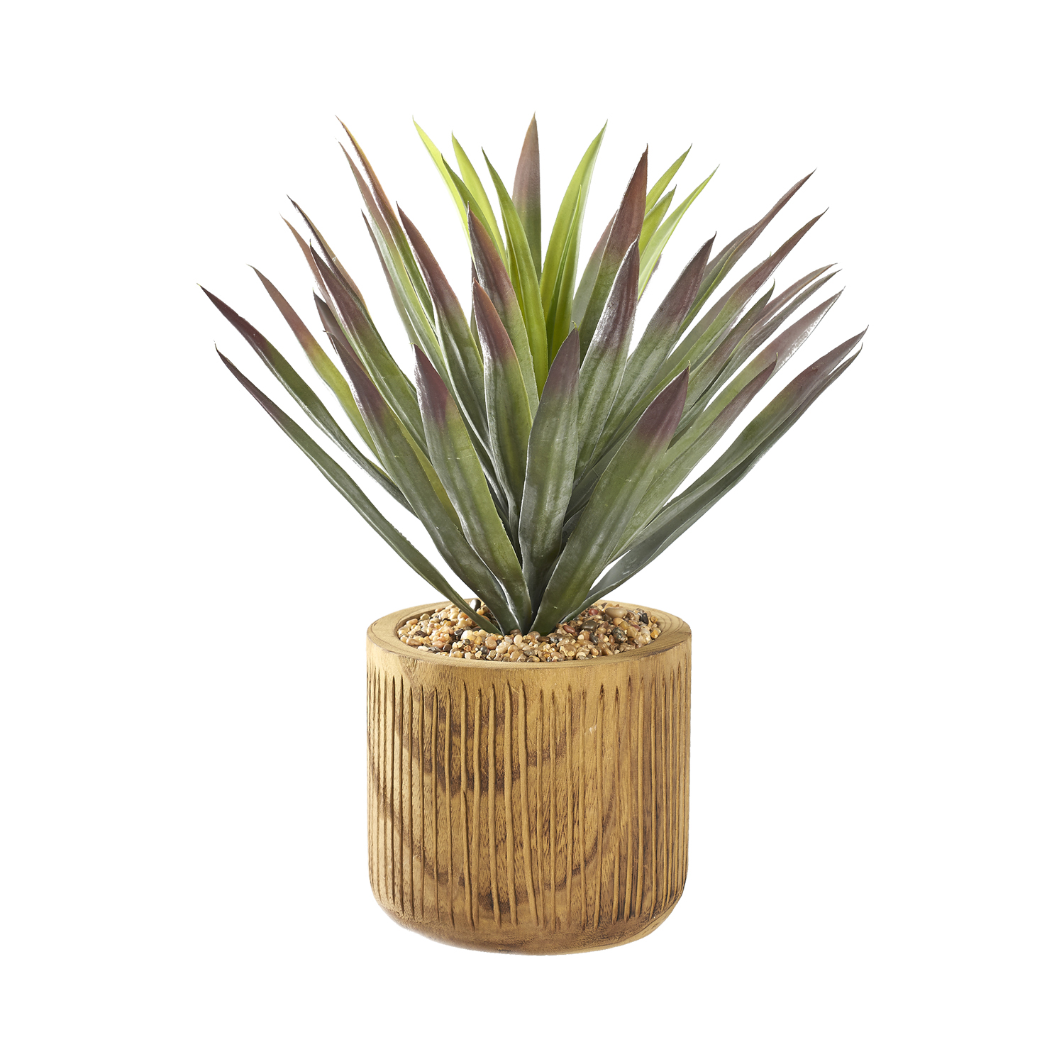 Agave Plant in Asher Planter - 231038