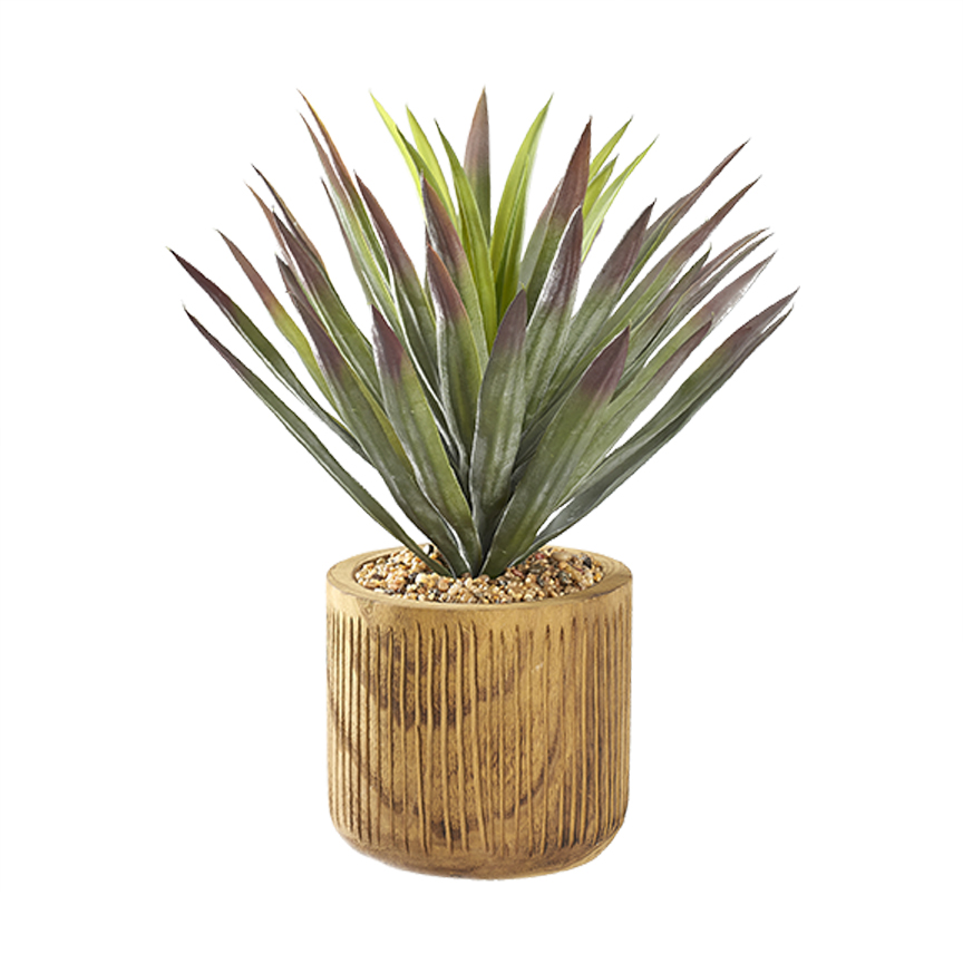 Agave Plant in Asher Planter - 231038 - Image 2
