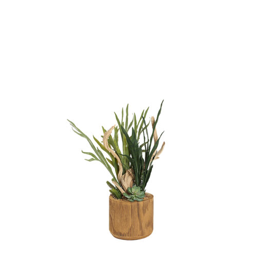 Staghorn Fern, Ghostwood, & Mixed Succulents in Asher Planter - 231048