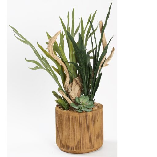 Staghorn Fern, Ghostwood, & Mixed  in Large Asher Planter without Legs - 231048