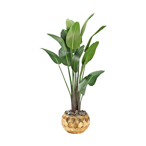 Traveler Palm in Medium Felix Planter 7' - 322924