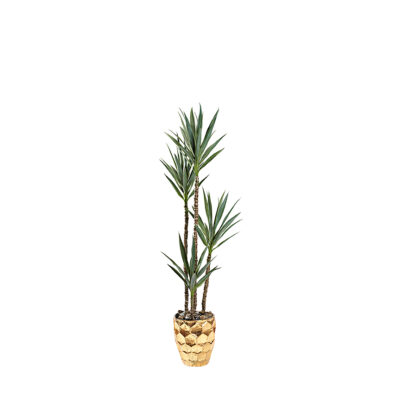 Yucca Tree in Leonine Planter 6.5' - 322926