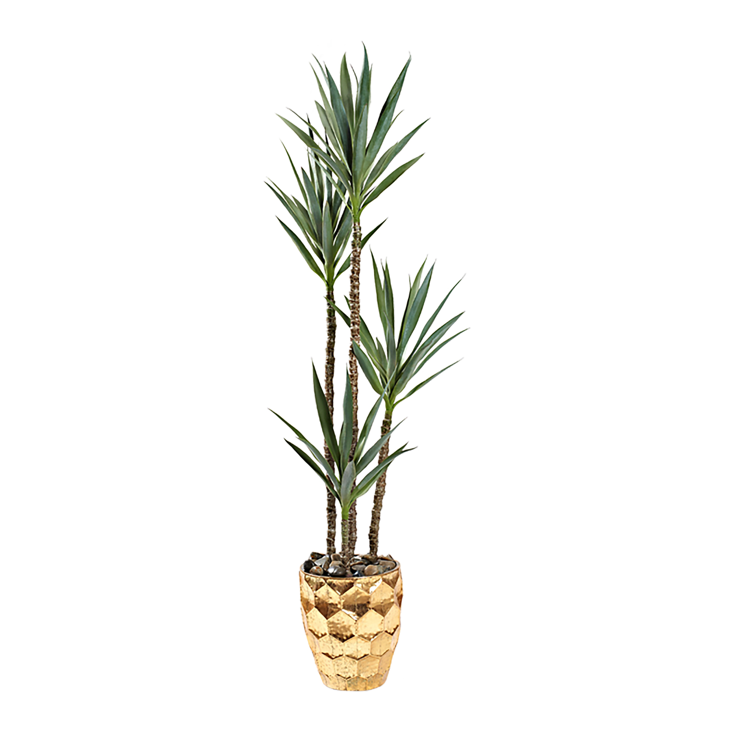 Yucca Tree in Leonine Planter 6.5' - 322926