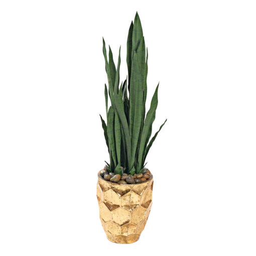Sansevieria Plant in Small Leonine Planter - 323003