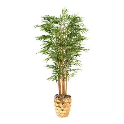 Bamboo Tree in Leonine Planter 7' - 323008
