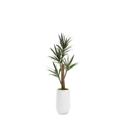 Yucca Tree in Quinn Planter 7' - 323011