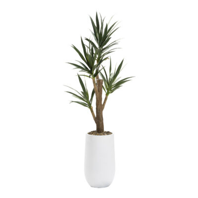 Yucca Tree in Quinn Planter 7' - 323011