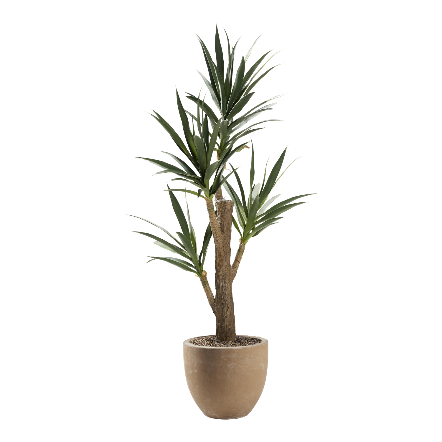 Yucca Tree in Grove Planter 6' - 323012