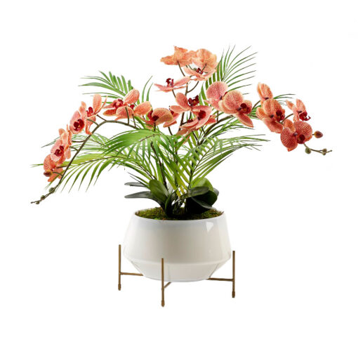Red & Cream Phael Orchids in Parson Planter - 221000