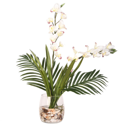Cream Cymbidium Orchids in Tumbler Vase - 221011